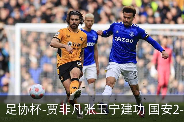 足协杯-贾非凡张玉宁建功 国安2-1大连可为晋级8强